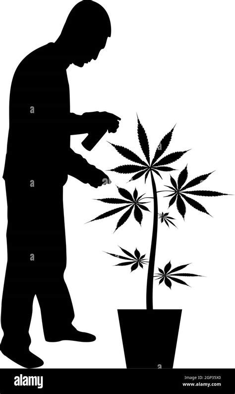 Weed Plant Silhouette