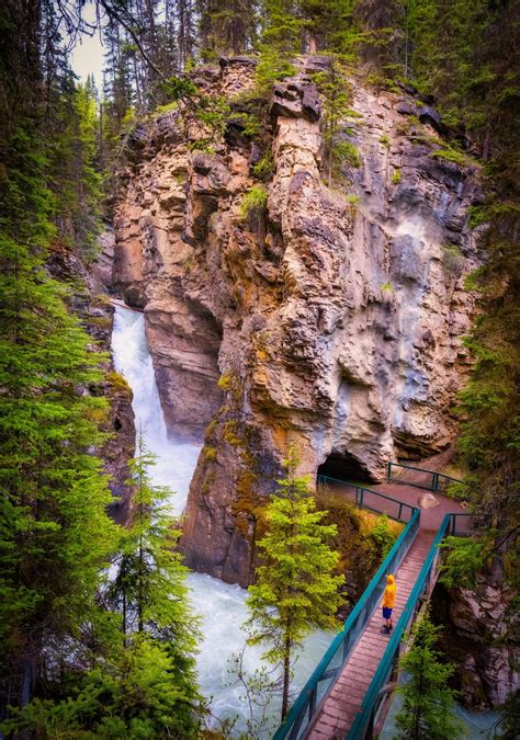 Locals Guide to the Johnston Canyon Hike in Banff National Park - The ...