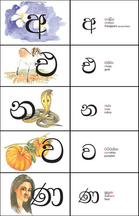 Sensational Sinhala Letters For Kids Free Printable Gardening Worksheets