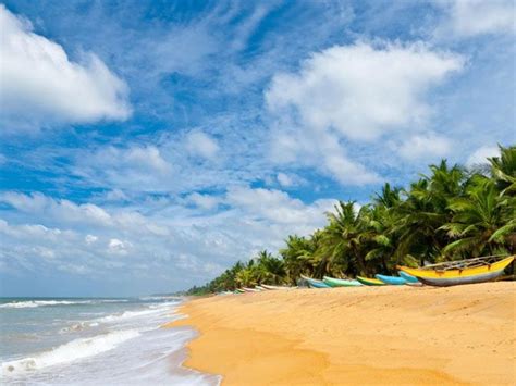 Top 21 best beaches in South India-Beaches in South India