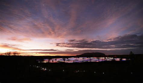 Can Field of Light outshine Uluru? - Australian Traveller