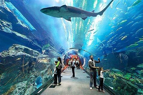 パタヤアンダーウォーターワールド水族館、提供元：Thai Holidays | バーンラムン, タイ - Tripadvisor