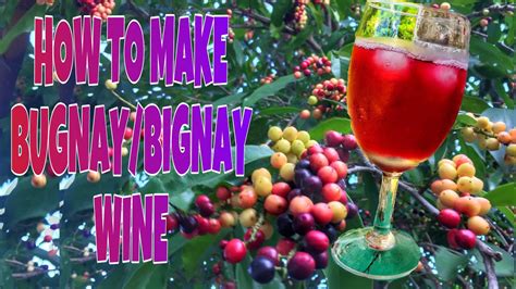 BUGNAY/BIGNAY WINE | HOMEMADE WINE | 3 INGREDIENTS ONLY | EASY RECIPE WINE - YouTube