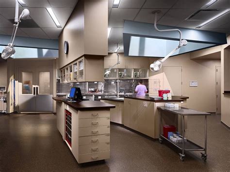 Gallery of Memphis Veterinary Specialists / archimania - 2 New Hospital, Veterinary Hospital ...