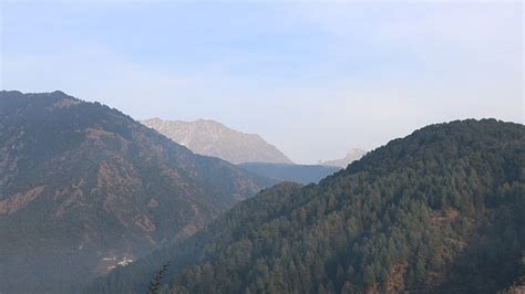 Places to Visit in Kasauli: Tourist Places in Kasauli, Kasauli Tourism ...