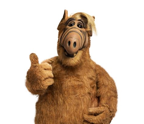 Falando em Série: ALF, o ETeimoso (1987) - MEMÓRIA MAGAZINE