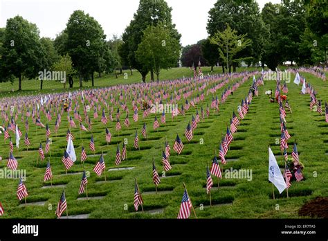 Memorial Day Flags At Willamette National Cemetery, Portland, Oregon Stock Photo - Alamy