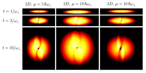 (color online) The figure shows three instants of the BEC expansion ...