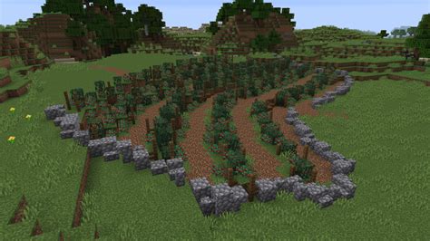 The new berries make for some nice vineyards! : Minecraft | Minecraft farm, Minecraft blueprints ...