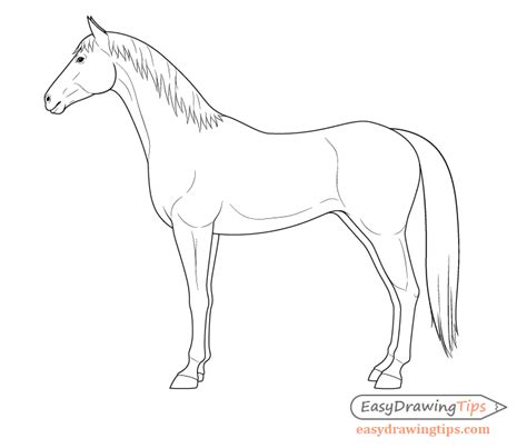 How to Draw a Horse From the Side View Tutorial - EasyDrawingTips