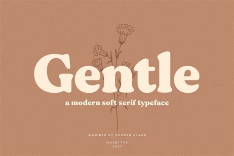 Gentle Soft Serif Font - Download Fonts