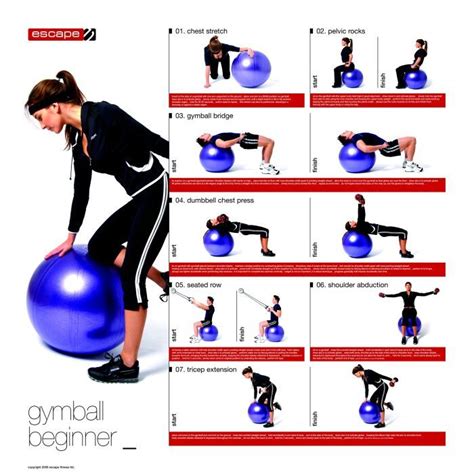 Gallery For > Pilates Machine Exercises Chart