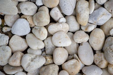 White pebbles background stock photo. Image of detail - 223769130