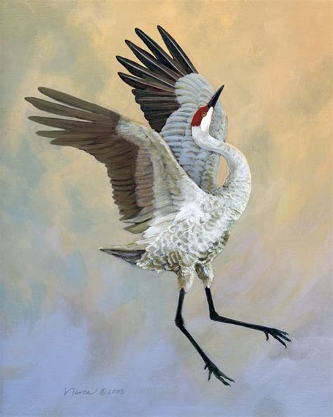 crane painting - I got a video of a sandhill crane showing off, calling, lifting off the ground ...