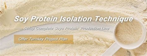 Soy Protein Isolate Production Techno