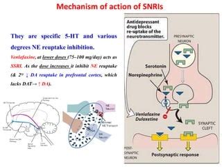 Serotonin Norepinephrine Reuptake Inhibitors (SNRIs) | PPT