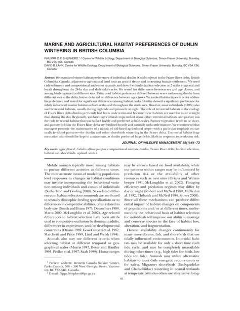 (PDF) MARINE AND AGRICULTURAL HABITAT PREFERENCES OF DUNLIN WINTERING IN BRITISH COLUMBIA