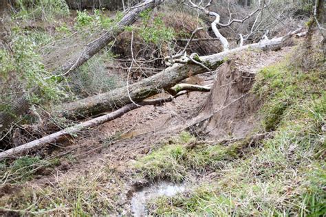 Dangers of Erosion when Developing Floodplains - Reduce Flooding