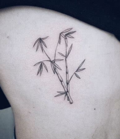 Best Bamboo Tattoo Design And Ideas