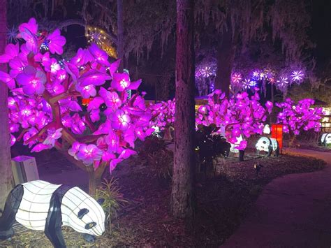 A Luminous Date at the Central Florida Zoo Asian Lantern Festival