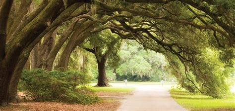 Charleston, SC Historic Plantations & Gardens | Official Guide