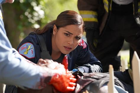 'Chicago Fire': Gabriela Dawson and Matt Casey Romance Voted No Good Among Fans