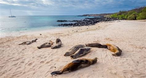 Galapagos Island Hopping - 7 days by On The Go Tours (Code: GIH ...