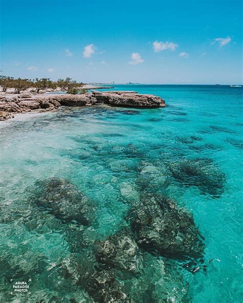 Let's Go Snorkeling in Aruba! | Visit Aruba Blog | Visit aruba, Aruba ...