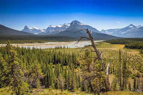 Visit Saskatchewan River Crossing: 2020 Travel Guide for Saskatchewan ...