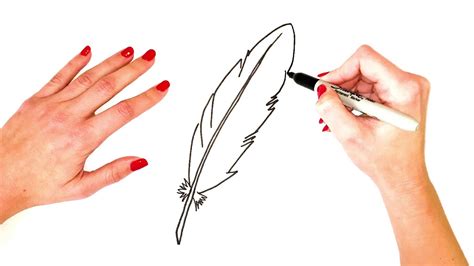 How To Draw A Feather Step By Step