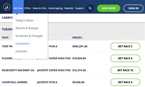 Pick 6 Horse Racing Betting: How Pick 6 Bets Work