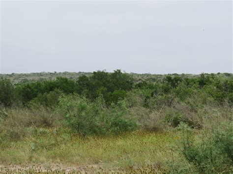 Wolf Springs Ranch | Ranches for Sale | Ranch Enterprises LTD. | Ranches For Sale in Texas & New ...