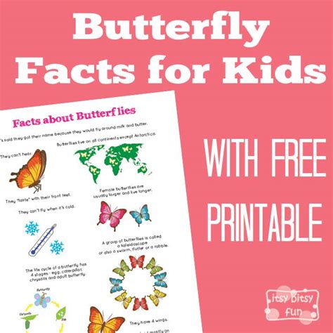 Fun Butterfly Facts for Kids - Itsy Bitsy Fun