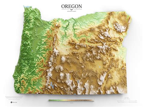 Portland Oregon Elevation Map Draw A Topographic Map - vrogue.co