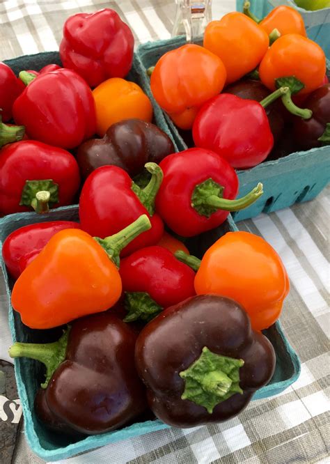 How about some classic heirloom peppers you can only harvest at your Farmers Market? Nothing ...