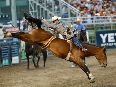 Welcome to the Jackson Hole Rodeo - Jackson Hole Rodeo