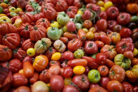 10 Tomato Varieties You Should Grow - Western Garden Centers