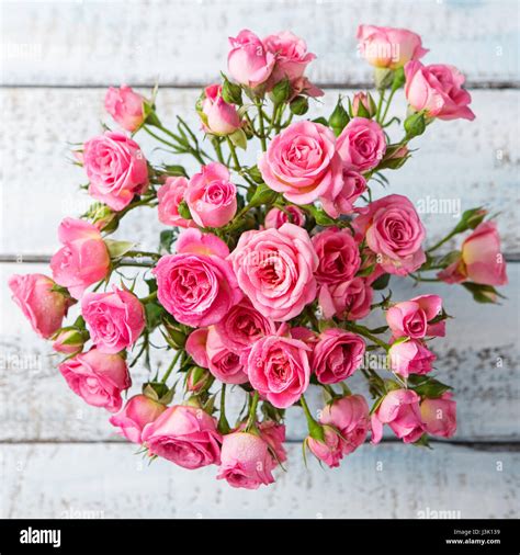 Rose flowers in vase. Beautiful romantic bouquet. Copy space. Top view ...