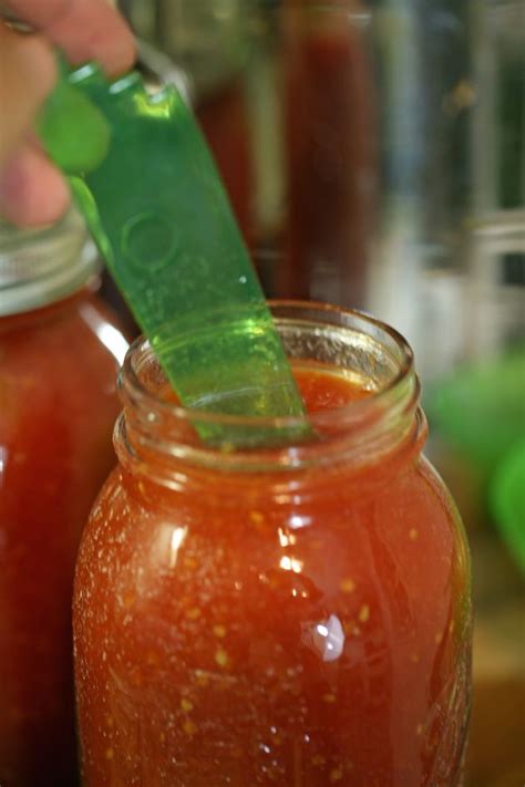 Canning Tomato Sauce | Recipe | Canning tomatoes, Sauce, Tomato sauce