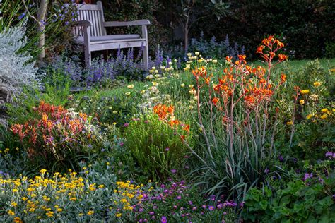 Top 10 small native plants for cottage gardens - The Botanical Planet