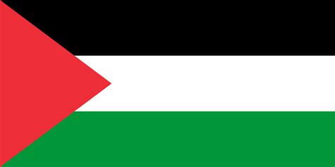 Palestine at the 2024 Summer Olympics - Wikipedia