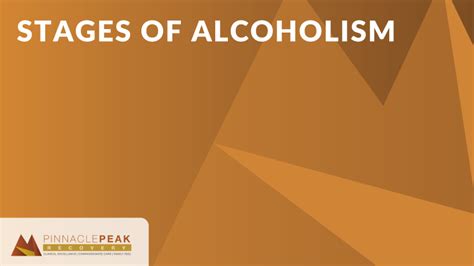 Stages of Alcoholism | Pinnacle Peak Recovery