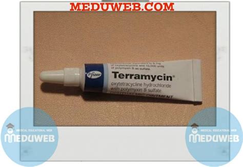 Terramycin eye ointment - Meduweb