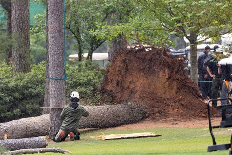 Masters 2023: Scary scene unfolds as trees collapse near patrons at Augusta National; play ...