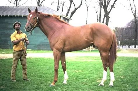 Secretariat: 8 Incredible Facts About The Legendary Racehorse