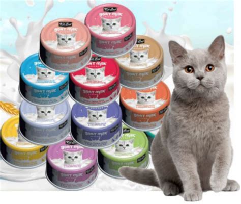 Best Pet Products to buy for Your Cat in Singapore 2024 - Best Prices ...