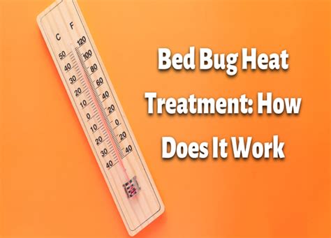 Bed Bug Heat Treatment: How Does It Work?