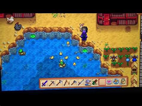 Stardew Valley: baby ducks swimming with mom. (Mod Free) - YouTube