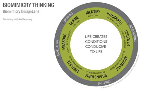 imagineplace: The Thinking Principles Behind Biomimicry