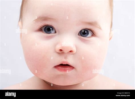 Chubby Baby Face Stock Photo, Royalty Free Image: 22416156 - Alamy